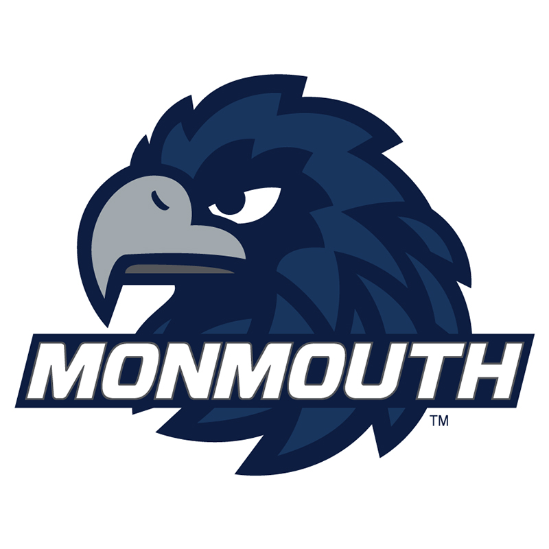 Monmouth Hawks iron ons